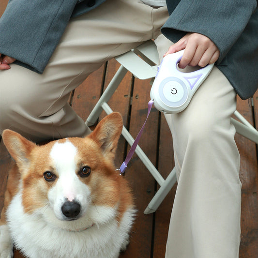 Retractable Light-Up Lead with Collar Set for Night Walks
